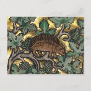 Briefkaart  illustratie