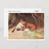 Briefkaart  illustratie (Voorkant / Achterkant)