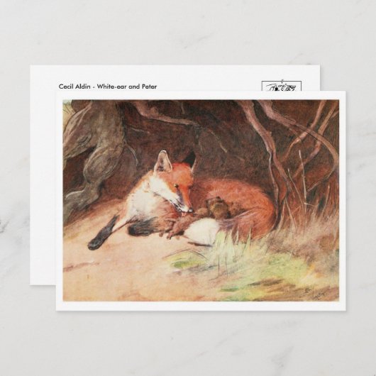 Briefkaart  illustratie (Voorkant / Achterkant)