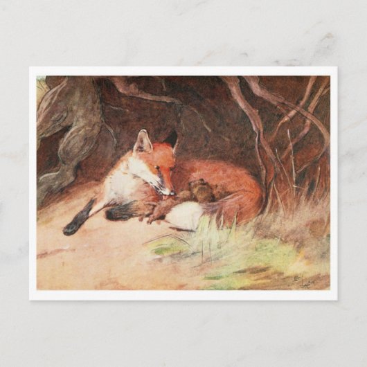 Briefkaart  illustratie (Voorkant)