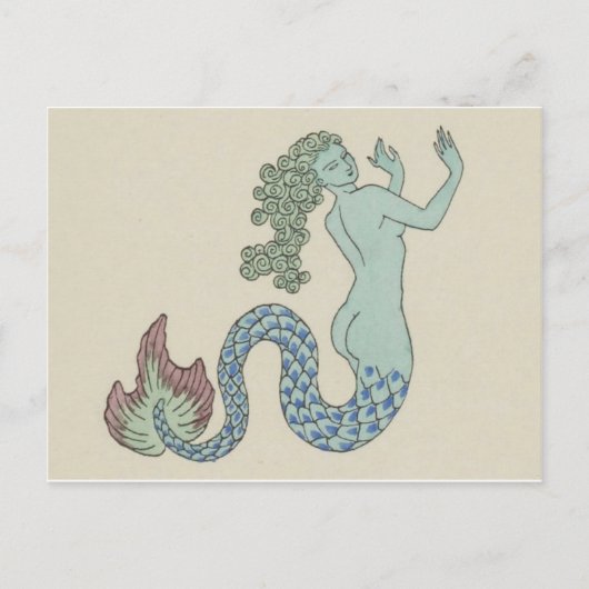 Briefkaart  illustratie (Voorkant)