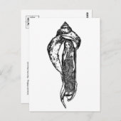 Briefkaart  illustratie (Voorkant / Achterkant)