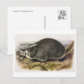 Briefkaart illustratie (Voorkant / Achterkant)