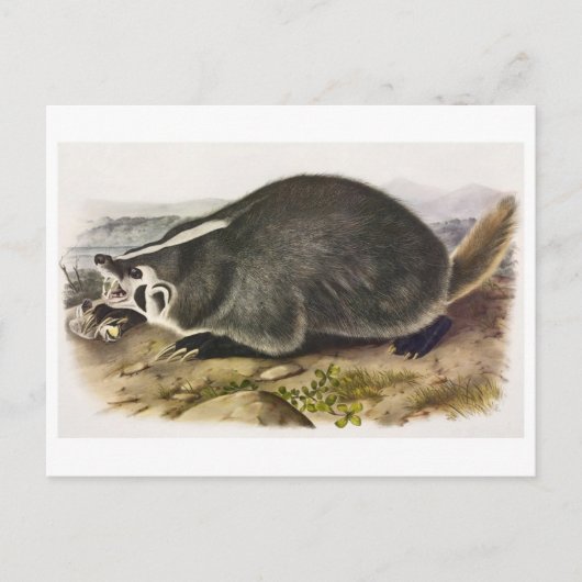 Briefkaart illustratie (Voorkant)