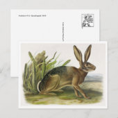 Briefkaart  illustratie (Voorkant / Achterkant)