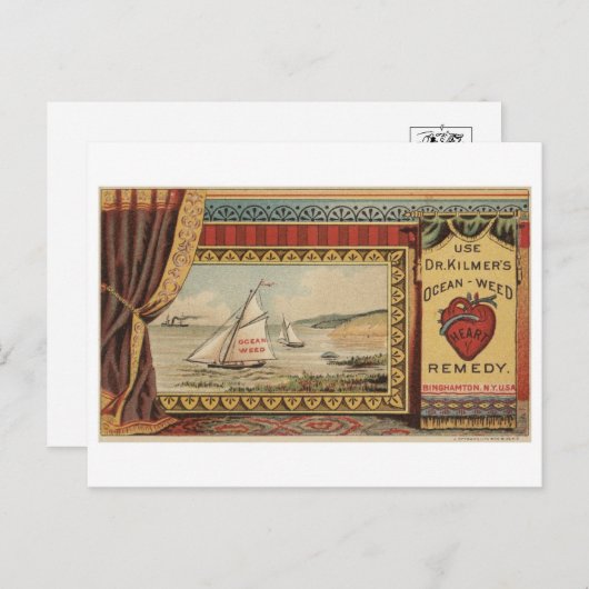 Briefkaart illustratie (Voorkant / Achterkant)