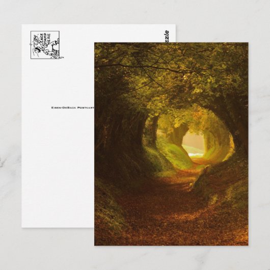 Briefkaart illustratie (Voorkant / Achterkant)