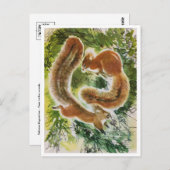 Briefkaart  illustratie (Voorkant / Achterkant)