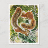 Briefkaart illustratie (Voorkant)