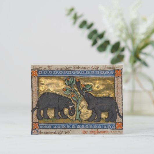 Briefkaart  illustratie (Staand voorkant)