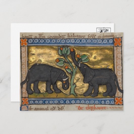 Briefkaart illustratie (Voorkant / Achterkant)