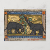 Briefkaart illustratie (Voorkant)