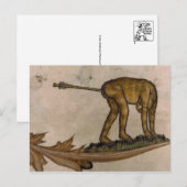 Briefkaart illustratie (Voorkant / Achterkant)