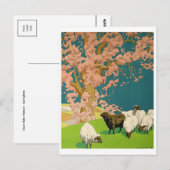 Briefkaart  illustratie (Voorkant / Achterkant)