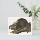 Briefkaart  illustratie (Staand voorkant)