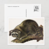 Briefkaart  illustratie (Voorkant / Achterkant)