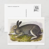 Briefkaart  illustratie (Voorkant / Achterkant)