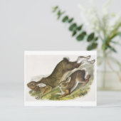 Briefkaart  illustratie (Staand voorkant)