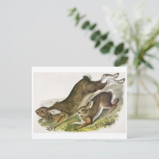 Briefkaart illustratie (Staand voorkant)