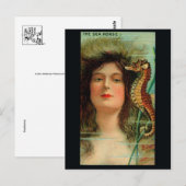 Briefkaart  illustratie (Voorkant / Achterkant)