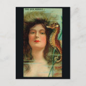 Briefkaart  illustratie (Voorkant)