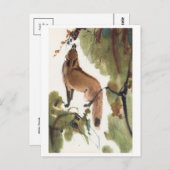 Briefkaart  illustratie (Voorkant / Achterkant)