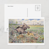 Briefkaart  illustratie (Voorkant / Achterkant)