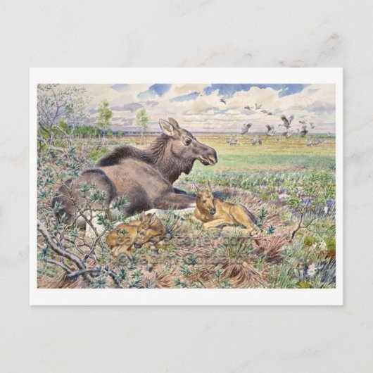 Briefkaart  illustratie (Voorkant)