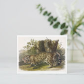 Briefkaart  illustratie (Staand voorkant)