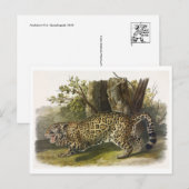 Briefkaart  illustratie (Voorkant / Achterkant)