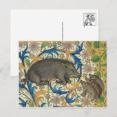 Briefkaart  illustratie (Voorkant / Achterkant)