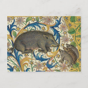 Briefkaart  illustratie