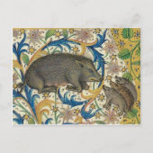 Briefkaart  illustratie (Voorkant)