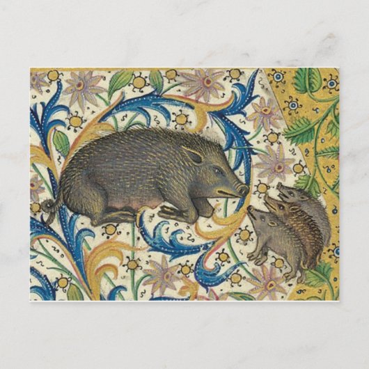 Briefkaart  illustratie (Voorkant)