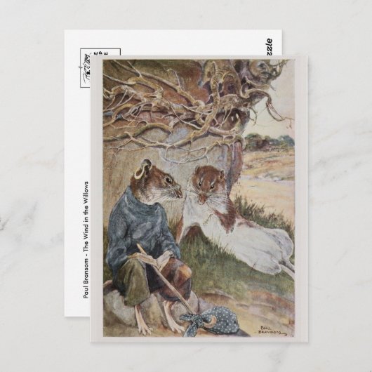 Briefkaart illustratie (Voorkant / Achterkant)