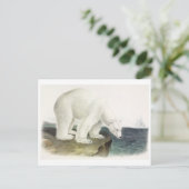 Briefkaart illustratie (Staand voorkant)