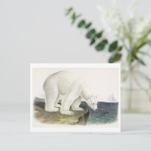 Briefkaart  illustratie (Staand voorkant)