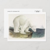 Briefkaart illustratie (Voorkant / Achterkant)