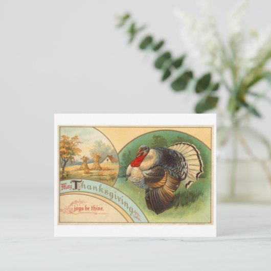 Briefkaart illustratie (Staand voorkant)