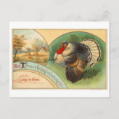 Briefkaart illustratie (Voorkant)