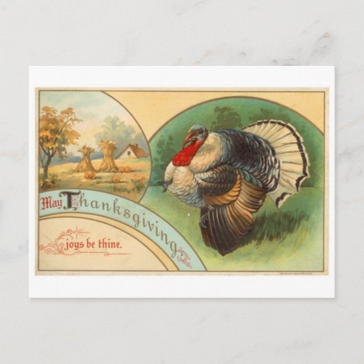 Briefkaart  illustratie (Voorkant)