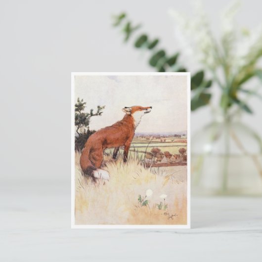 Briefkaart  illustratie (Staand voorkant)