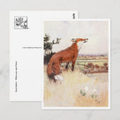 Briefkaart  illustratie (Voorkant / Achterkant)