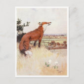 Briefkaart  illustratie (Voorkant)