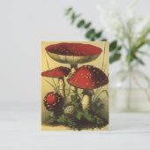 Briefkaart  illustratie (Staand voorkant)