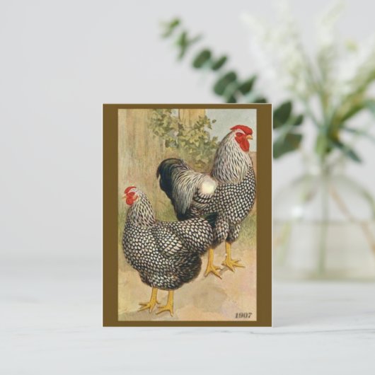 Briefkaart  illustratie (Staand voorkant)