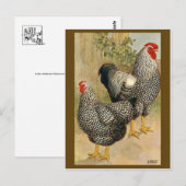 Briefkaart illustratie (Voorkant / Achterkant)