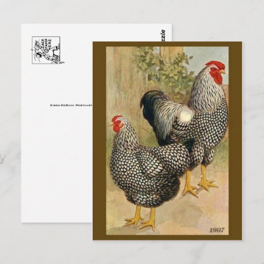 Briefkaart  illustratie (Voorkant / Achterkant)