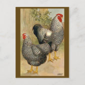 Briefkaart illustratie (Voorkant)