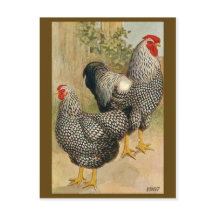 Briefkaart  illustratie